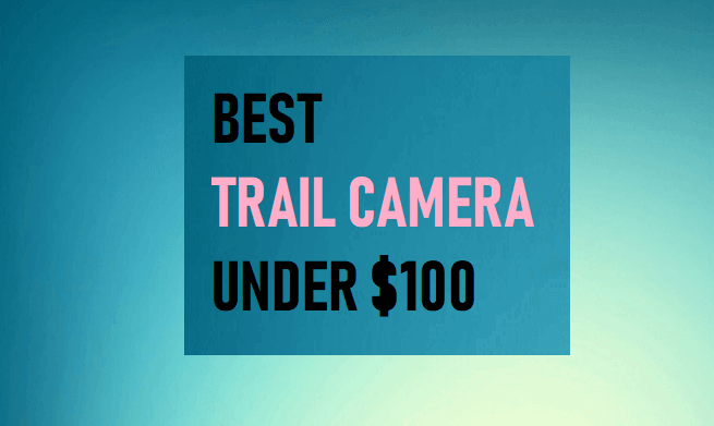 Best Trail Camera Under $100