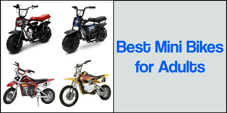 Best Mini Bikes for Adults