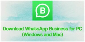 download whatsapp business for pc windows 10