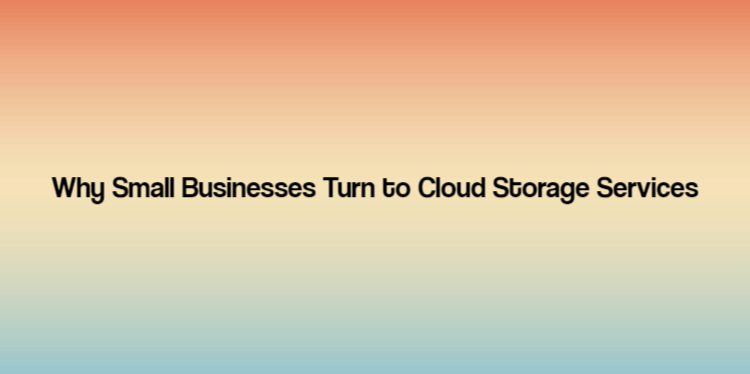 Why Small Businesses Turn to Cloud Storage Services